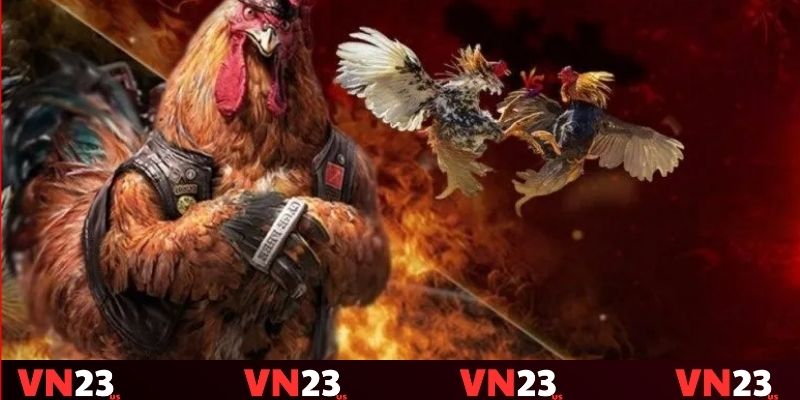 Đá gà tre dành cho những yêu thích sự dẻo dai cùng lối đánh lì lợm Đá gà tre dành cho những yêu thích sự dẻo dai cùng lối đánh lì lợm