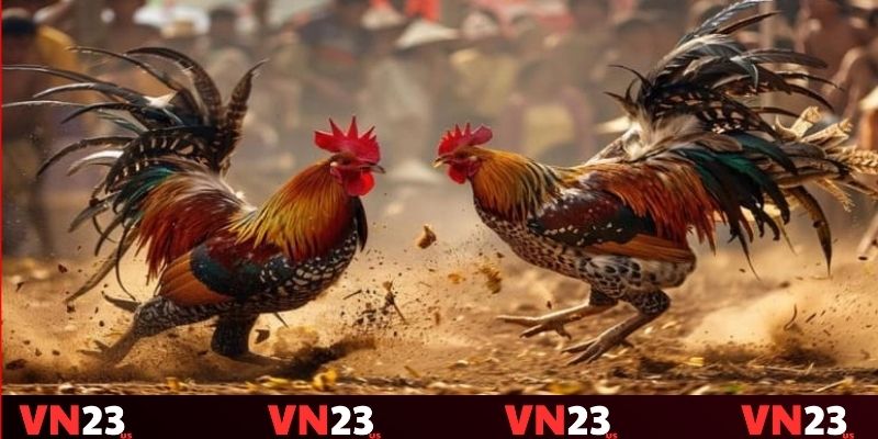 Nâng cao trải nghiệm cược cho bet thủ Nâng cao trải nghiệm cược cho bet thủ