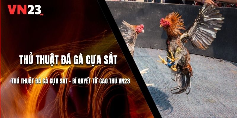 Thủ Thuật Đá Gà Cựa Sắt - Bí Quyết Từ Cao Thủ VN23