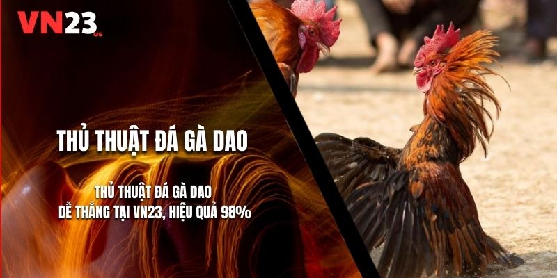 Thủ Thuật Đá Gà Dao Dễ Thắng Tại VN23, Hiệu Quả 98%